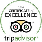 TripAdvisor 2019