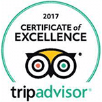 TripAdvisor 2020